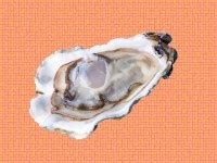 viennese oyster sex position|The Little Black Book of Sex Positions